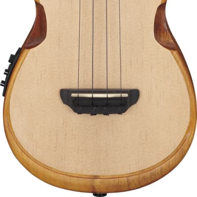 Ibanez AUC10E-OPN Concert Ukulele Open Pore Natural incl. Gigbag - NEW image 8
