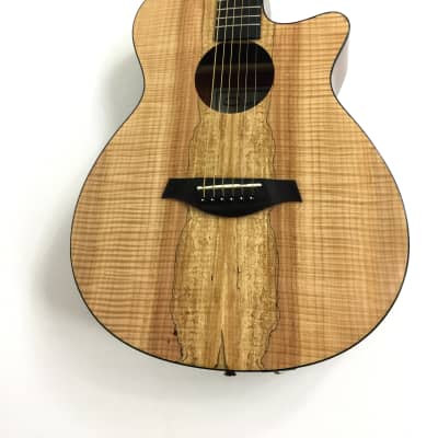 Caraya HSGYPSPCEQGC 40" OM Style Acoustic Guitar w/Built-in EQ/REVERB/CHORUS/DELAY Speaker Cutaway + Hard/Foam Case - w/Soft Gig Bag image 3