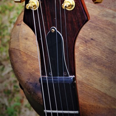 LEVITCH Custom Single Cut 1989 Sunburst  by Rich Levitch. Former KOONTZ Harptone Standell luthier Ony1 image 24