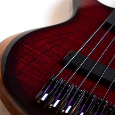 Cortex Bass Napoléon 6 String Fretless - Ash Top in Translucent Red Sunburst image 7