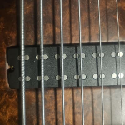 Pavel's 6 String Bass Signature Aryel Pro II 2007 - Walnut, Honduran Mohogany Bottom, Red wood Barrel image 9