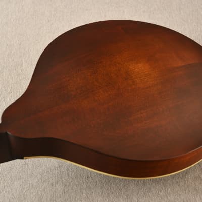 Eastman MDO305 Octave Mandolin A Style Solid Spruce Top image 10