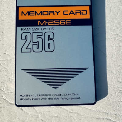 Korg 256-MB Sampling Ram Memory for Korg PA2x PA3x M3 | Reverb