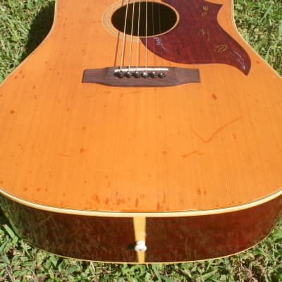 Takamine Elite HM-25 Hummingbird Replica Guitar Bargain 1974