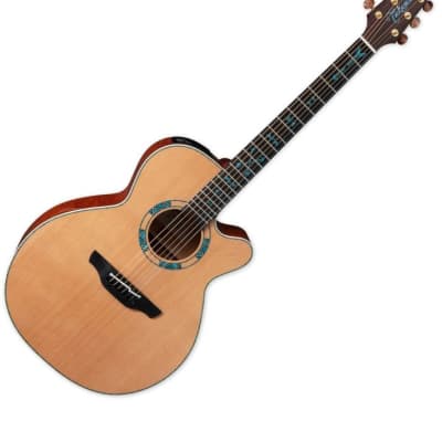 Takamine 2024 ltd 2017