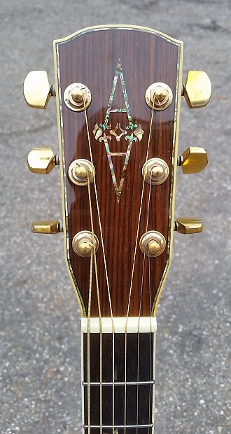 Alvarez Pd100 N professionalTree of life solid top acoustic