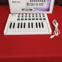 Arturia MINILAB MKII MIDI Controller (Queens, NY)