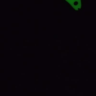 Ibanez APEX2 - Green Shadow Flat image 9