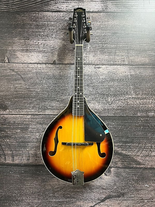 Stadium F Style Mandolin (Nashville, Tennessee) Reverb