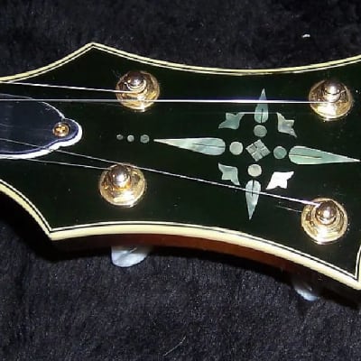 Gold Tone EBM-5 Electric Solid Body Maple Neck Mahogany Top 5-String Banjo w/Hard Case image 8