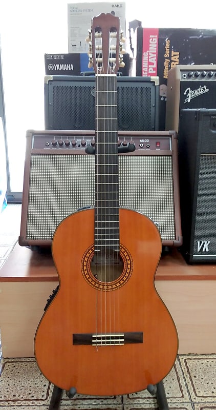 Takamine EG 116 Chitarra Classica elettrificata