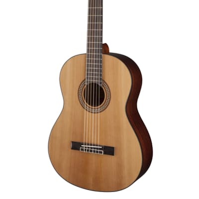Jasmine by Takamine JC25CE-NAT J-Series Nylon-String Solid Top Classical Guitar image 6