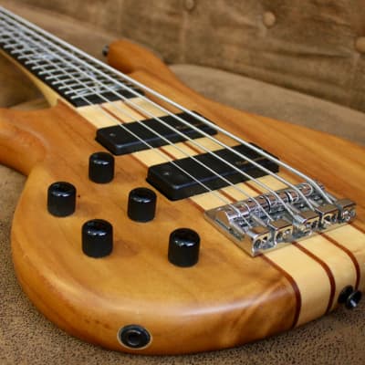 Raven West Guitars RBS 5500 LEFTY 5 STRINGS | Reverb