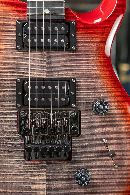 PRS SE Floyd Custom 24 (2017 - Present) | Reverb