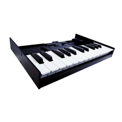 Roland Boutique K-25m Portable Keyboard image 3