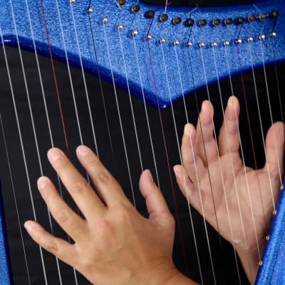 22 String Iris Harpy - Electric-Acoustic Harp - Blue image 3
