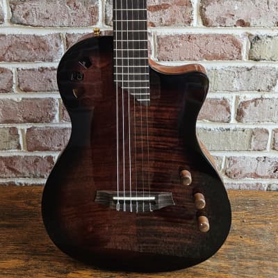 Cordoba Stage Guitar Thinline A/E Nylon-String Guitar, Edge Burst w/ Gig  Bag