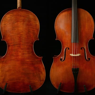 Montagnana Cello Master Wang's Own Work No. W19,2023 image 2