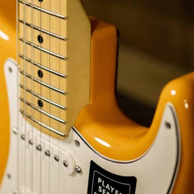 Fender Player Stratocaster, Maple FB, Capri Orange image 6