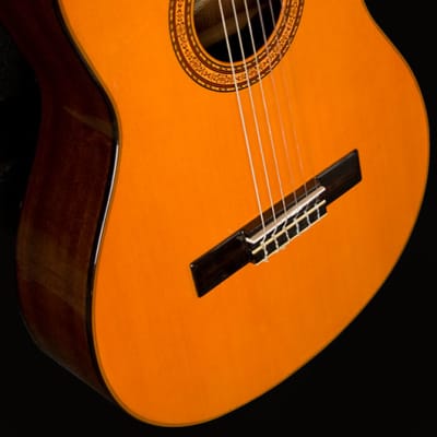 Washburn Classical Series C5 Classical Acoustic Guitar, Natural, New, image 3