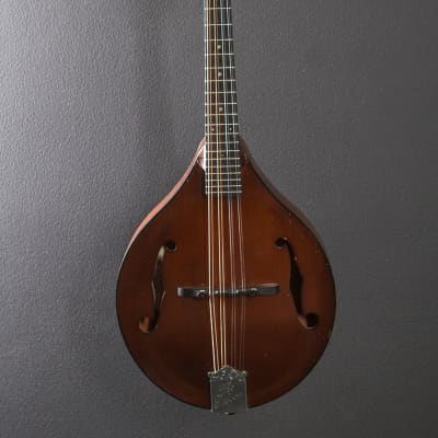 Gibson A-9 Mandolin image 2