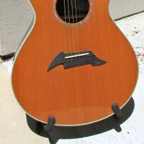 Breedlove American Series C25/CRe H Western Red Cedar Acoustic Electric Guitar L.R. Baggs Rosewood image 1