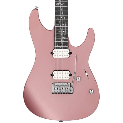 Ibanez Tim Henson 6-String Solid Electric Guitar - Silver