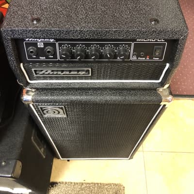 Ampeg Micro CL 100-Watt 2x10