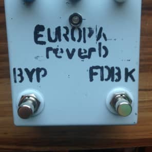 Small Grey Europa Reverb image 1