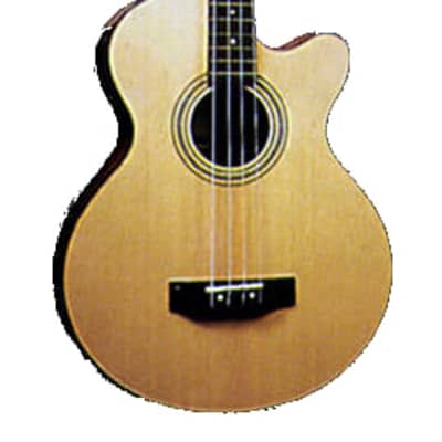Jay Turser JTB-D100 4 String Acoustic Bass with Under Saddle Pickup and 4 Band EQ - Natural for sale