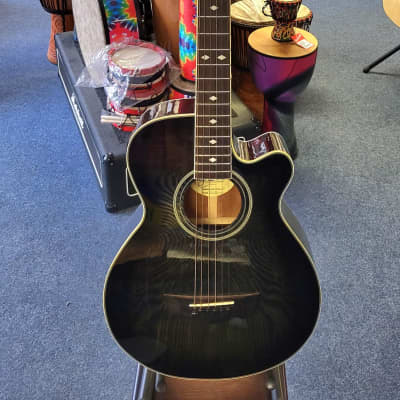 Highland HAB-800 Converted Baritone Guitar image 1