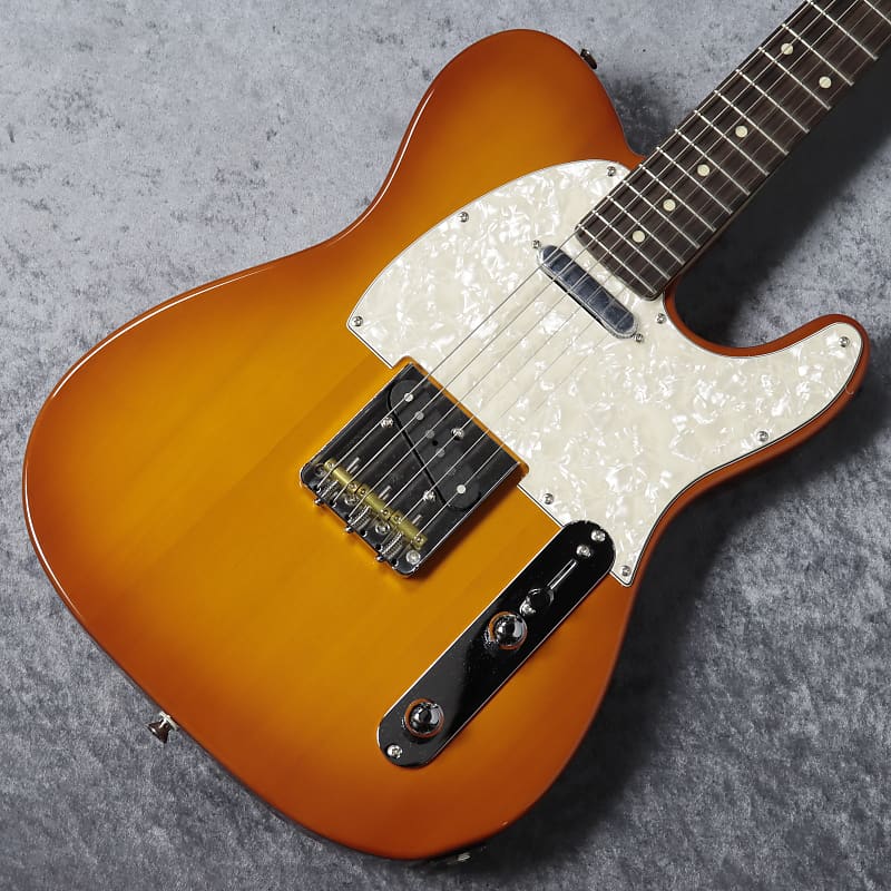 FUJIGEN(FGN) テレキャスターKNTE10RBD モデファイ FUJIGEN(FGN) テレキャスターKNTE10RBD モデファイ