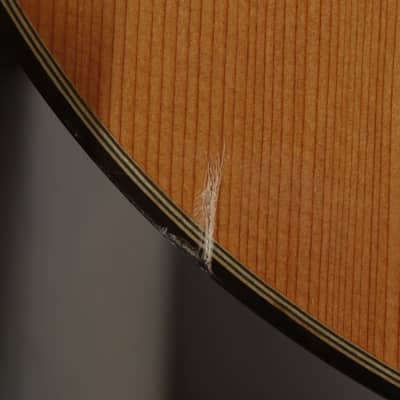 Walden SupraNatura Classical Guitar, Acoustic Nylon String 2010s image 5