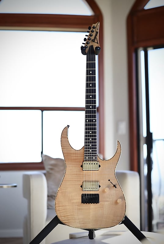 在庫僅少】 エレキギター RGEW521FM Ibanez エレキギター - sk-trofej.rs