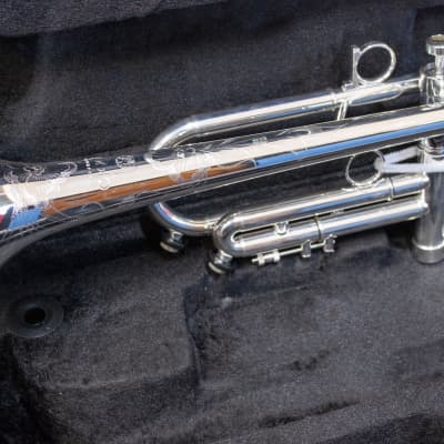 Trompeta Apolo Trumpet «Latino» Plateada image 15