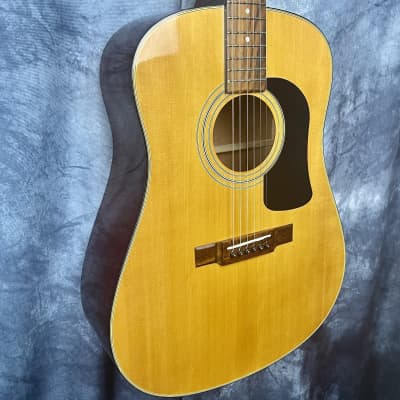 Washburn 1994 Vintage D12-N Acoustic Guitar | Reverb