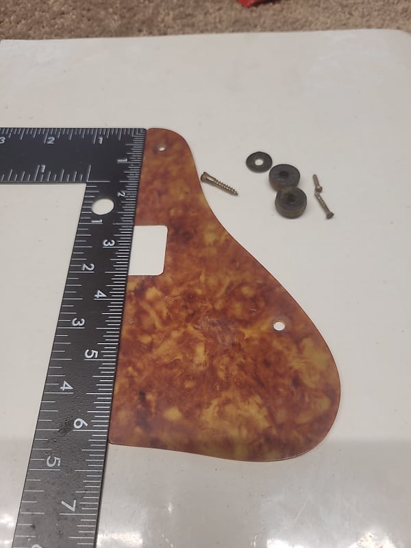 Kay Vintage Electric Mandolin Pickguard 50's60's Tortoise Reverb