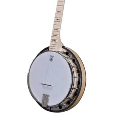 Deering Goodtime Solana Six 6-String Banjo with Pickup | Reverb