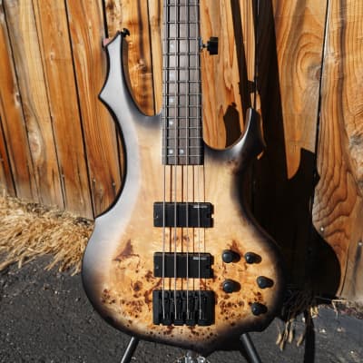 ESP LTD F-4 Ebony Charcoal Burst Satin 4-String Electric
