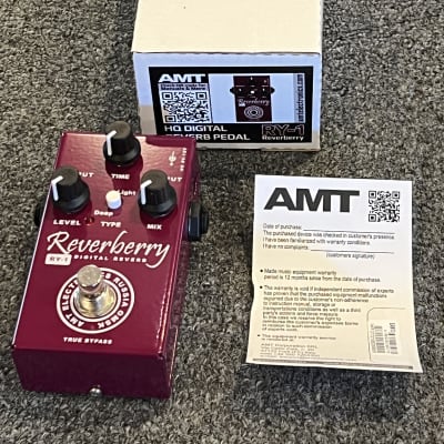 AMT Electronics RY-1 Reverberry Digital Reverb Guitar Effects Pedal 2022 image 5