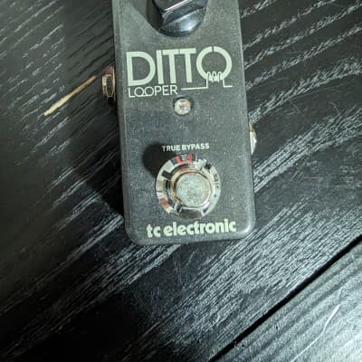 TC Electronic Ditto Looper | Reverb Canada