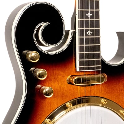 GOLD TONE EBM-5 electric 5-string F-style BANJO new w/ Gold Tone Case image 5