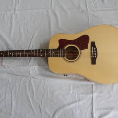Norman B20 Natural GT-QIT for sale