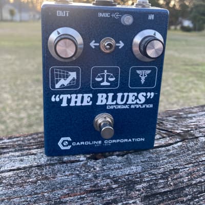 Caroline Guitar Company The Blues Expensive Amplifier 2021 - Blue for sale