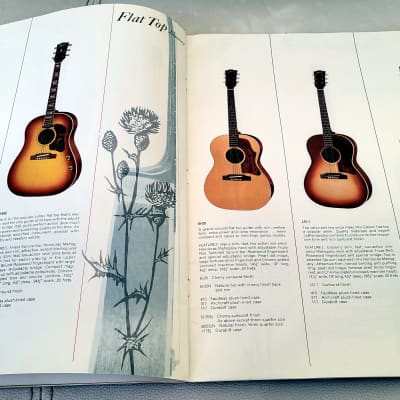 1966 Gibson Full Line Catalog - 1rst Full Color Gibson Catalog image 18