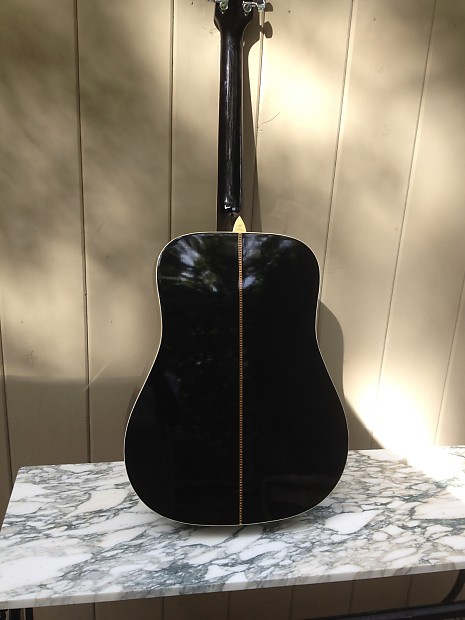 Washburn D10SB Gloss Black