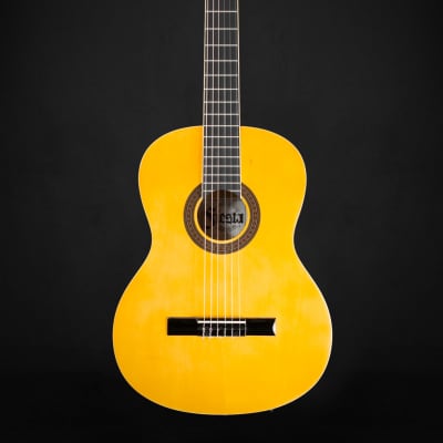 Aria FST-200 Fiesta Full Size Classical Starter Guitar for sale
