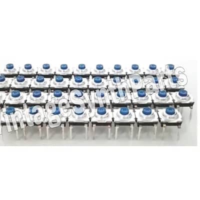 ENSONIQ SQ-1 and SQ-2 Pushbuttons Tact Switch full set of 41 Panel Switches