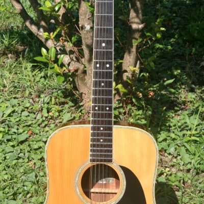 Yairi YW-500P 12 strings guitar 1989 Natural+Deluxe Flight Case FREE image 3