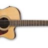 Ibanez ArtWood Series Acoustic Electric Guitar Natural Gloss AC450CENT
